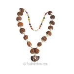1-14 Mukhi Collector Rudraksha Kantha Mala With Gauri Shankar and Ganesh Bead | 9 Navratna Gemstone Beads | Configuration - 6