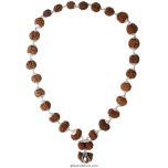 27+1 Collector Rudraksha Beads Kantha Mala | Energised 1 to 14 Mukhi Gauri Shankar and Ganesha Beads | Configuration - 1