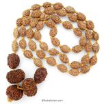 Rudraksha Protection Mala Unlocked | 3 Mukhi, 9 Mukhi, 10 Mukhi, 11 Mukhi Nepal Rudraksha Beads | for Luck, Pitra Dosha, Fear, Land Disputes, Depression, Black Magic, Saturn Sadhe Sati