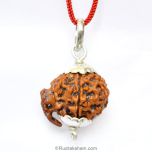 Ganesh Rudraksha Bead Pendant from Nepal for the Blessings of Lord Sri Ganesha with Silver caps and Wire