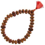  Gauri Shankar Rudraksha Kantha Mala Necklace | Original Energised Shiv Parvati Beads from Nepal