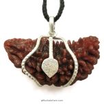 1 Mukhi Rudraksha Collector Silver Snake Pendant | Indian Ek Mukhi Rudraksha for Meditation and Spirituality