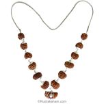 1-13 Mukhi Collector Rudraksha Beads Kantha Mala | Energised and Original Nepal Rudraksha Beads Configuration - 4