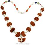 1-13 Mukhi Collector Rudraksha Kantha Mala | 9 Navratna Gemstone Beads | Energised and Original Rudraksha Beads Configuration - 5