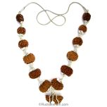 1-13 Mukhi Fine Rudraksha Beads Kantha Mala | Buy Online Energised and Original Siddh Rudraksha Beads Configuration - 4