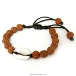 Rudraksha Beads and Kaudi - Cowry Shell Wrist Band Bracelet, 10 mm Rudraksha and Kauri Shell / Cowrie Wrist Mala Bracelet, Wholesale Gift Pack of 10 Adjustable Bracelets in Black Thread