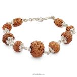 Navgrah Rudraksha Bracelet in Silver | 2 Mukhi, 3 Mukhi, 4 Mukhi, 5 Mukhi, 6 Mukhi, 7 Mukhi, 8 Mukhi, 9 Mukhi, 12 Mukhi Java Rudraksha Beads Bracelet | To Pacify all the Nine Planets