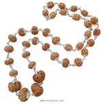 Navgrah Rudraksha Java Beads Mala Necklace in Silver | 2 Mukhi, 3 Mukhi, 4 Mukhi, 5 Mukhi, 6 Mukhi, 7 Mukhi, 8 Mukhi, 9 Mukhi, 12 Mukhi Rudraksha | To Pacify all the Nine Planets