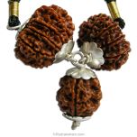  Om Shanti Power Pendant | 3 Mukhi Rudraksha, 10 Mukhi Rudraksha And 11 Mukhi Rudraksha Combination Pendant In Silver | Rudraksha Pendant for Mental Peace & Happiness