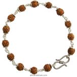 Rare Power Bracelet | 4 Mukhi Bracelet | Four / Char Mukhi Rudraksha Bracelet with Silver Caps and Links | 6mm Beads of 4 Mukhi Rudraksha for blessings of Goddess Saraswati