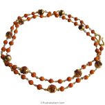 Rudraksha - Rudrani Gold Mala | Combination Mala Necklace of Rudraksha and Rudrani Beads in Gold Wire and Links along with Gold Caps on Rudraksha Beads