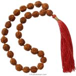  Rudraksha Japa Mala 10mm | 5 Mukhi Japa Mala Rosary | Five Mukhi Rudraksha Beads Japa Mala, 27 Beads Japa Mala, 5 Mukhi Mala Bracelet, 5 Mukhi Wrist Mala