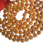 10mm Rudraksha Japa Mala Rosary | 108 Beads Rudraksha Mala Benefits