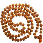 4mm Rudraksha Mala Rosary | 4mm Rudraksha Japa mala