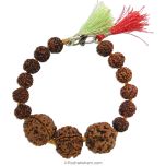 Rudraksha Thread Bracelet for Education | Combination of Nepal 4 Mukhi Rudraksha & 6 Mukhi Rudraksha for Students, Scientists, Reaserchers, Artists, Writers, Journalists, Scholars