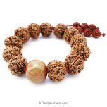 5 Mukhi Rudraksha and White Sandalwood Mala Bracelet | Rudraksha Beads Chandan Thread Bracelet
