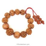 Rudraksha and White Sandalwood Beads Mala Bracelet | Adjustable Rudraksha Chandan Thread Bracelet