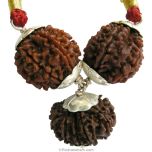  Saturn Sade Sati Power Pendant | Shani Pendant | Combination Of 7 Mukhi Rudraksha With 11 Mukhi Rudraksha Bead In Silver Pendant