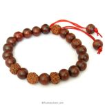 Red Sandalwood - Rakta Chandan and Rudraksha Beads Wrist Mala Bracelet | Wholesale Gift pack of 10 Adjustable Bracelets in Red Thread, Plain Smooth Round Red Sandalwood beads