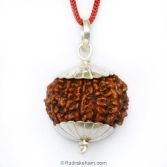 Collector 10 Mukhi Rudraksha Pendant | Dus Mukhi Pendant | Large and High Quality Ten Mukhi Silver Pendant, Buy Online at Best Price