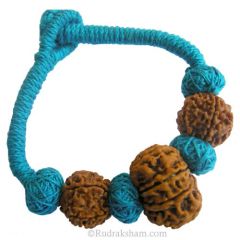  13 Mukhi Rudraksha Wrist Band with 5 Mukhi Rudraksha Beads from Nepal | 100% Original Energized Authentic Rudraksha Beads