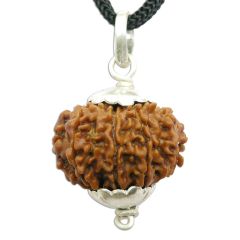 11 Mukhi Rudraksha Pendant Online | Gyarah Mukhi | Buy Genuine Eleven Mukhi Rudraksha Pendant in Silver