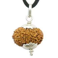 12 Mukhi Rudraksha Pendant | Barah Mukhi Pendant in Silver, Original Nepali Twelve Mukhi Rudraksha Pendant | Best Online price