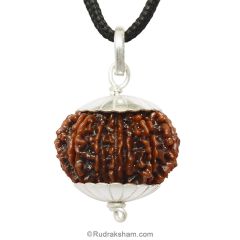 13 Mukhi Rudraksha Bead Pendant In Silver Caps | Buy Original 13 Faced Rudraksha Pendant | Terah Mukhi Silver Pendant - Collector Rudraksha Bead