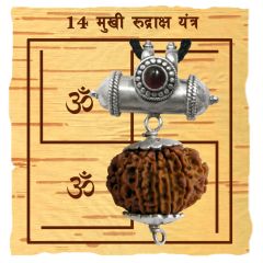 14 Mukhi Rudraksha Yantra Kavach - Fourteen Mukhi Rudraksha Yantra On Bhoj Patra | Collector 14 Mukhi Rudraksha Bead Pendant | Chaudah Mukhi Fourteen Faced Natural Energised Rudraksha Bead From Nepal 