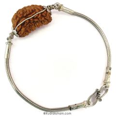 1 Mukhi Rudraksha Silver Bracelet, Ek Mukhi Rudraksha Bead Snake Chain Silver Bracelet | Half Moon Shaped Indian One Mukhi Rudraksha Bead Silver Chain Bracelet