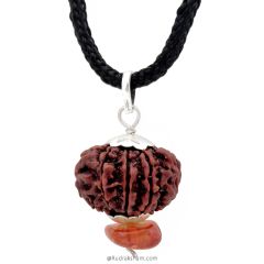 Shield of Amber | 10 Mukhi Nepal Rudraksha Pendant with Amber for protection from ghosts, evil spirits & black magic | Pacifies all negative planetary energy, achieve self-control 