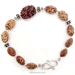 2 Mukhi Rudraksha Bracelet | Two Mukhi Rudraksha Indian & Java Beads Silver Bracelet | Do Mukhi Rudraksha wrist Bracelet with Silver Accessories