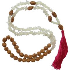  2 Mukhi and Moonstone Mala for Moon | Two / Do Mukhi Rudraksha Beads Moonstone Combination Mala Rosary Hand knotted in Thread With 5 Mukhi Rudraksha Beads, Chandra Mala / Moon Mala