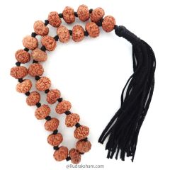  7 Mukhi Rudraksha Indonesian Japa Mala