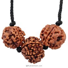 Education Necklace | Saraswati Thread Pendant | Ideal For Students | Combination of 6 Mukhi Rudraksha and 4 Mukhi Rudraksha