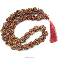 ( 25-27mm ) 5 Mukhi Super Giant Rudraksha Bead Kantha Mala Necklace 33 Beads | High Quality Giant Collector Grade Rudraksha Beads