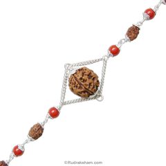 3 Mukhi Rudraksha Silver Bracelet