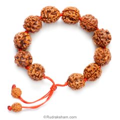 3 Mukhi Rudraksha Bead Mala Bracelet | Nepal Three Mukhi Rudraksha Thread Bracelet for Planet Mars | Eleven Beads of 3 Mukhi