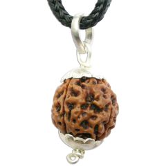 4 Mukhi Rudraksha Pendant | Char Mukhi Pendant in Silver Original and Energised Nepali Bead Buy Online