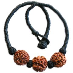 4 Mukhi Rudraksha Bead Triple Pendant In Thread | Four Mukhi, Char Mukhi, 4 Faced Rudraksha Beads Kantha Mala Necklace