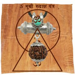 5 Mukhi Rudraksha Yantra Kavach - Five Mukhi Rudraksha Yantra On Bhoj Patra | Collector 5 Mukhi Rudraksha Bead Pendant | Original and Pure 5 Faced Nepal Bead Paanch Mukhi