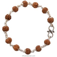 6 Mukhi Rudraksha Bracelet with Silver Caps and Links | Six faced Rudraksha Silver Bracelet | Original & Energised 7mm Beads of 6 / Six Mukhi