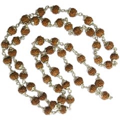 7 Mukhi Indonesian Rudraksha Mala Necklace | Seven Mukhi Silver Caps Mala | Energised Java 54 Beads Mala Rosary