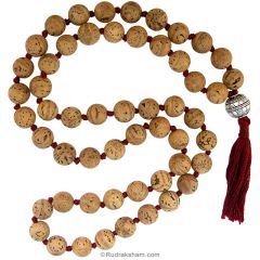Bodhi Seed Prayer Beads Mala Necklace , Authentic Bodhi Seed Mala Rosary, Tibetan Bodhi Seed Mala 54 Beads in Red Color