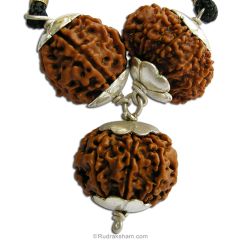  Business Power Pendant for Women | Combination of 6 Mukhi Rudraksha, 8 Mukhi Rudraksha And 9 Mukhi Rudraksha Pendant In Silver