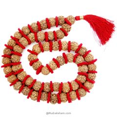 (18-20mm) 5 Mukhi Rudraksha Bead Kantha Mala Necklace 54 Beads