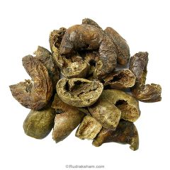 Haritaki - Terminalia Chebula Herb