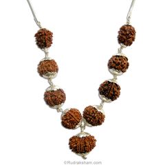 Navgrah Kantha | 2 Mukhi, 3 Mukhi, 4 Mukhi, 5 Mukhi, 6 Mukhi, 7 Mukhi, 8 Mukhi, 9 Mukhi, 12 Mukhi Rudraksha Beads Kantha Mala Necklace | To Pacify all the Nine Planets