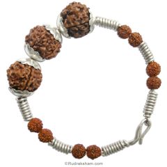5 Mukhi Rudraksha Bracelet in Copper | Five Mukhi Nepal Rudraksha Beads Copper Caps Bracelet with Copper Wire | Energized Panch Mukhi Rudraksha