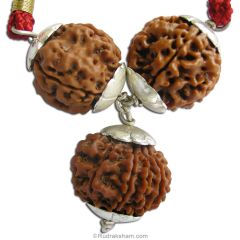  Siddh Kavach Power Pendant | 4 Mukhi Rudraksha, 5 Mukhi Rudraksha And 10 Mukhi Rudraksha Combination Pendant In Silver | Protection from Evil